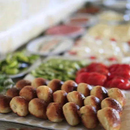 酒店 Elevres Stone House 4*