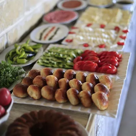 酒店 Elevres Stone House 4*