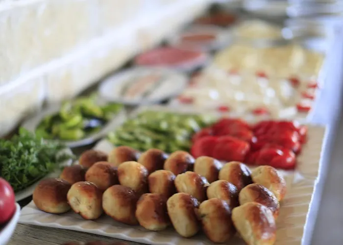 Hotel Elevres Stone House 4*