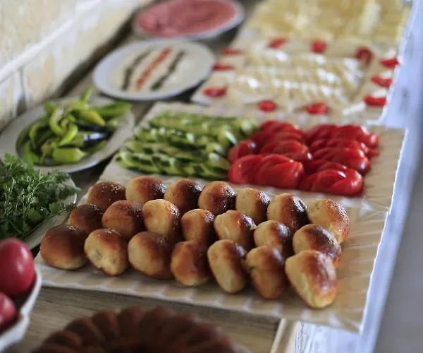 Hotel Elevres Stone House 4*